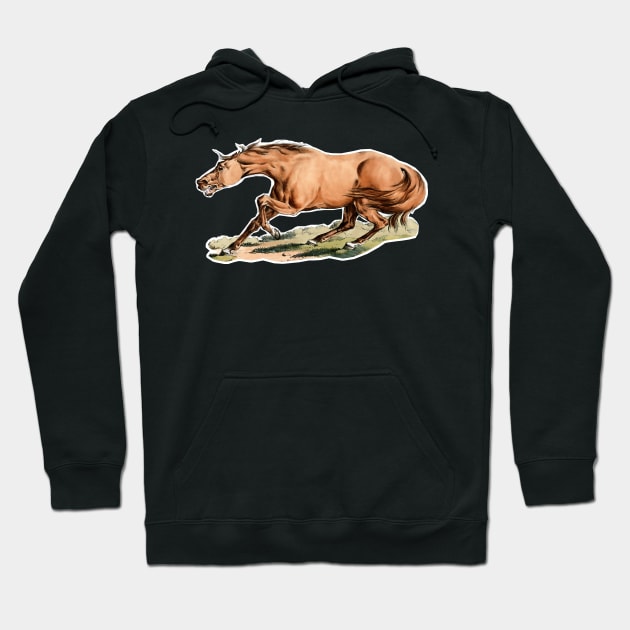 Desperate wild horse Hoodie by Marccelus